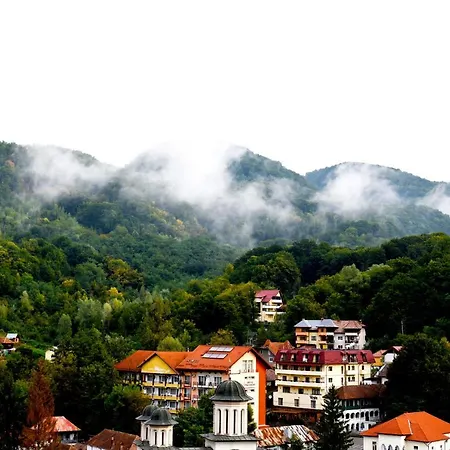 Olanesti & Medical Hotel Băile Olăneşti
