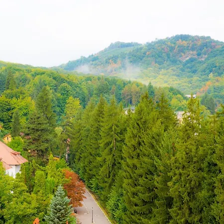 Hotel Olanesti & Medical 4*